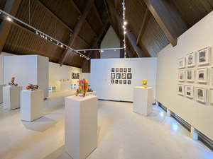 COLLECTive Concerns @ Central Michigan University